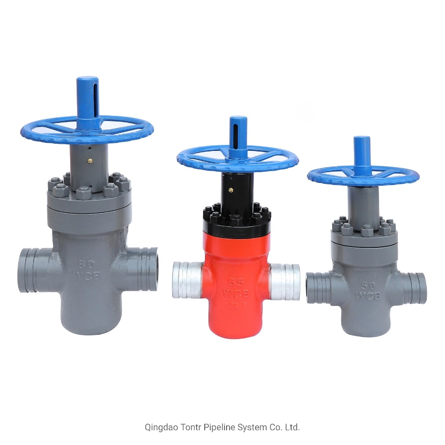 Stainless Steel High Pressure Gate Valve with FM UL Technical Norms