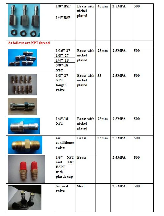 High Quality 1/8" NPT and 1/8" BSPT. M10X1.25. M8X1.25 Air Control Tank Schrader Needle Brass Valve. Pipe Fitting Industrial Valve (own factory)