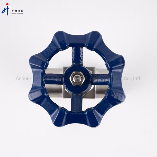 Vanne à pointeau forgée en acier inoxydable haute pression avec NPT femelle (volant)