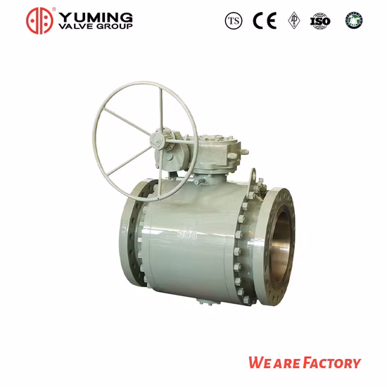 API 6D&API608 Acier moulé, Wcb, Acier au carbone, Acier inoxydable CF8, CF8m, A105/F304/F316 Vanne à boisseau sphérique montée sur tourillon à bride 2PC avec fonctionnement par engrenage