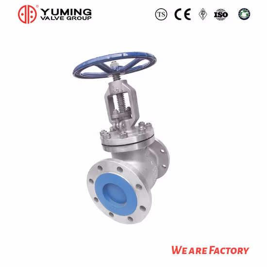API&ASME B16.34 Acier au carbone/Acier inoxydable/Acier moulé Clapet anti-retour RF de type à bride